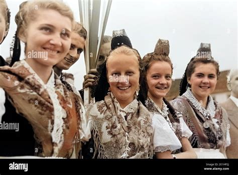 huren in sh|Ladies Schleswig.